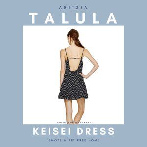 Aritzia Talula Keisei Dress